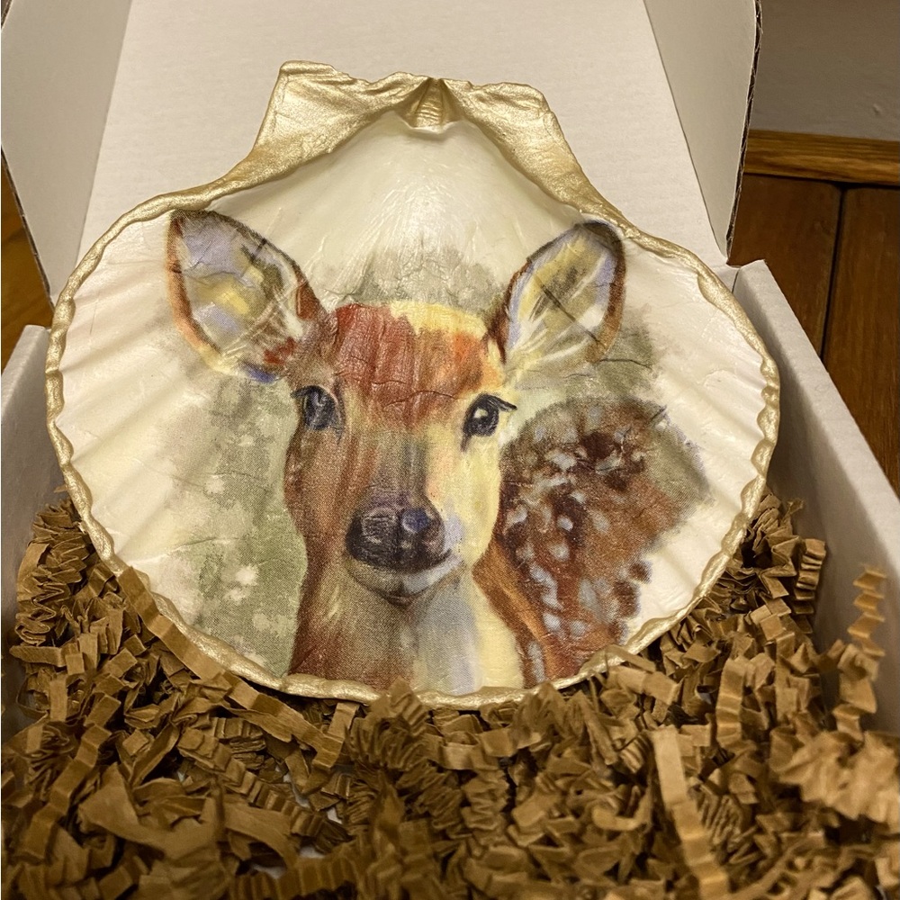 Decoupage Scallop Shell